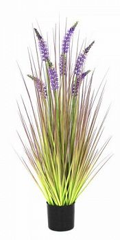 Trawa pionowa Lavender 90 cm